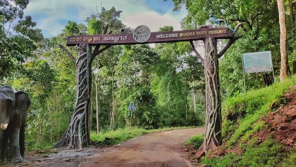 BHADRA WILDLIFE SANCTUARY 1