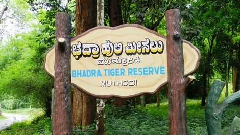 BHADRA-WILDLIFE-SANCTUARY-2