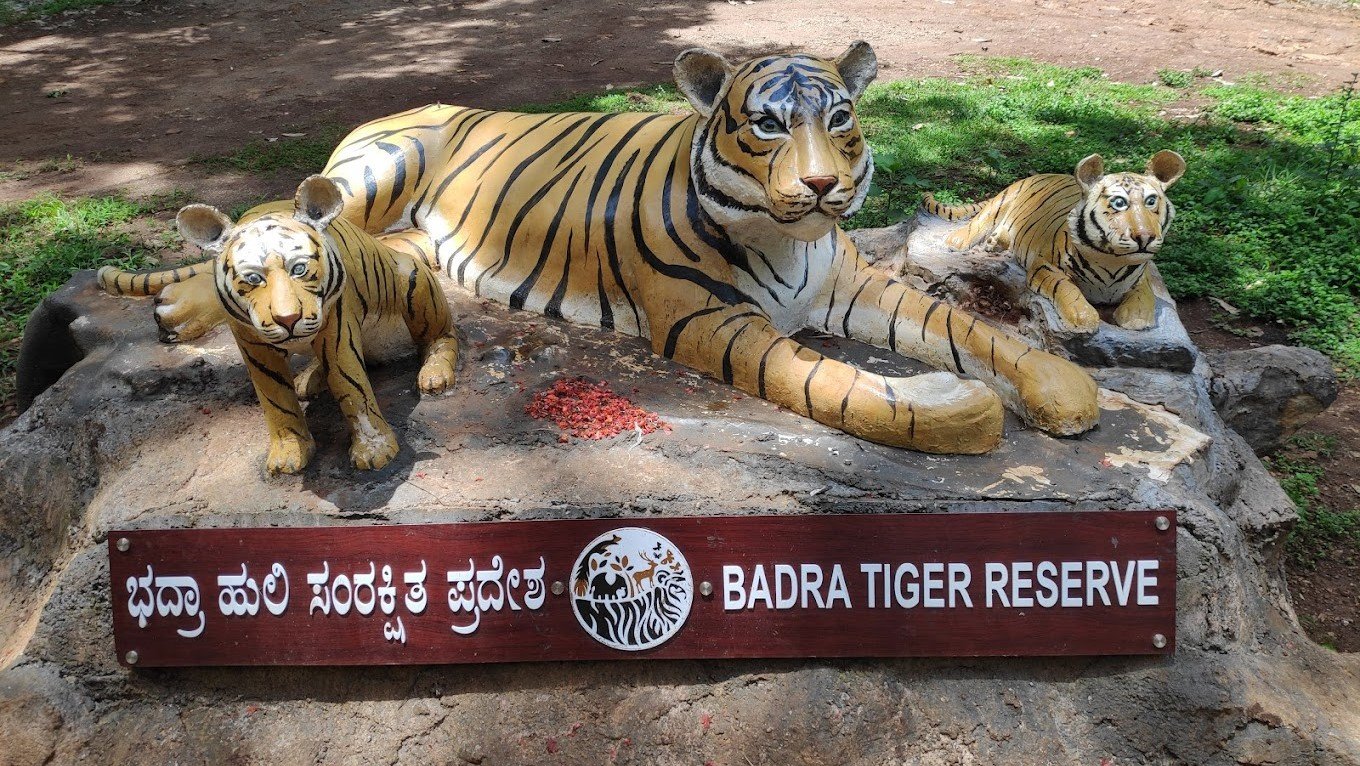 BHADRA WILDLIFE SANCTUARY 3