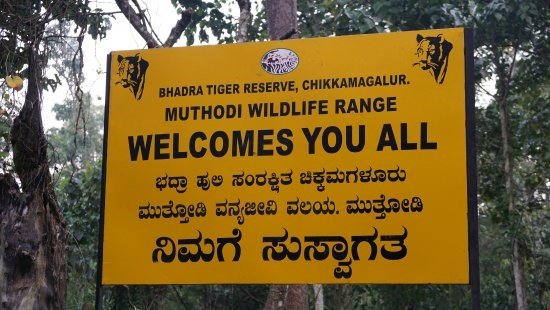 BHADRA WILDLIFE SANCTUARY 6