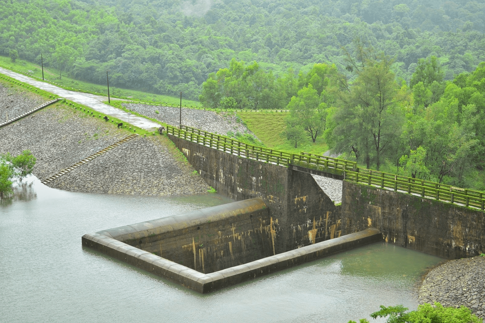 Savehkalu Dam 6