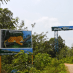 Shettyhalli Wildlife Sanctuary Shivamogga