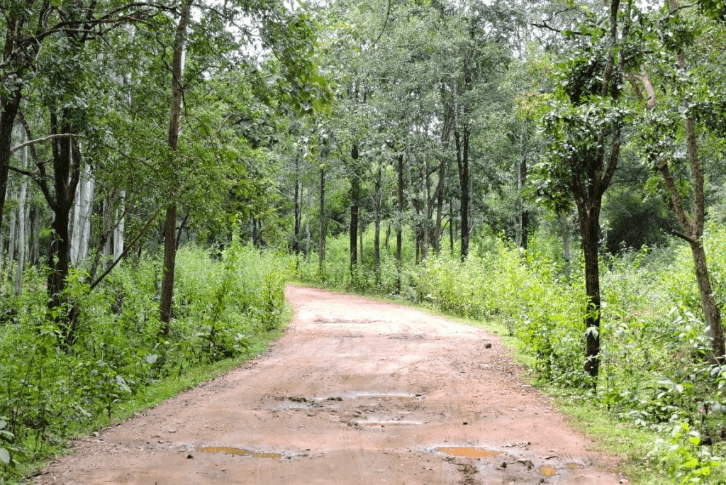 Shettyhalli Wildlife Sanctuary Shivamogga 2