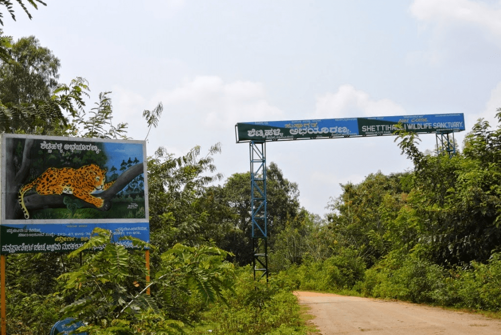 Shettyhalli Wildlife Sanctuary Shivamogga