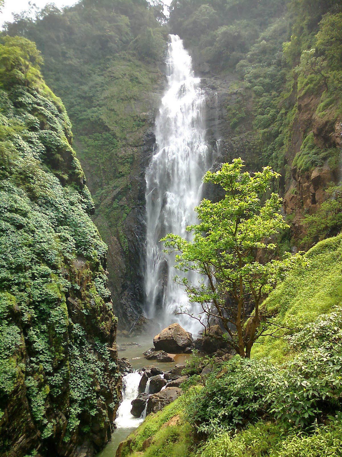 dabbe falls sagara 3